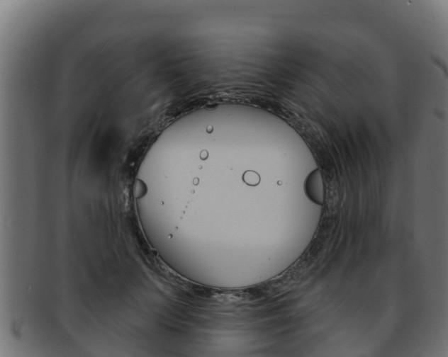X0000092320703200709141050