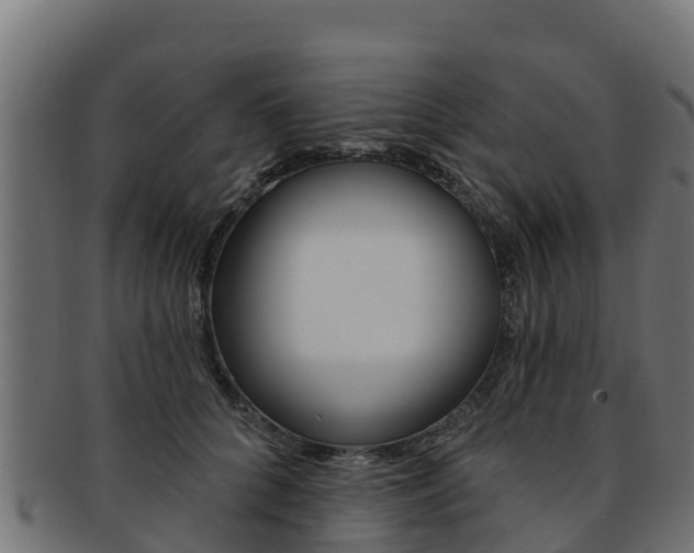 X0000092320704200709141050