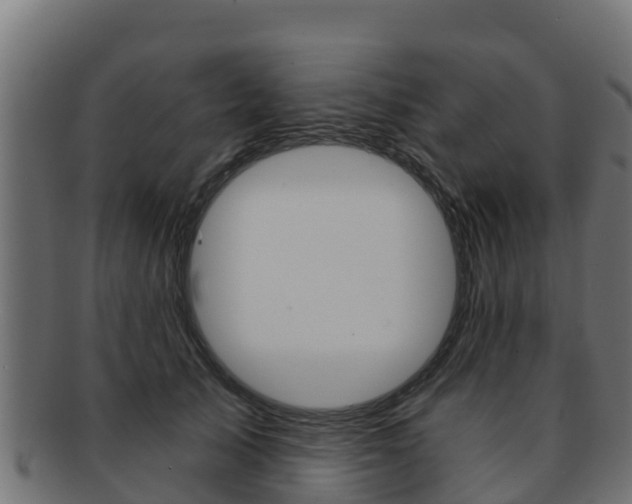 X0000092320705200709141050