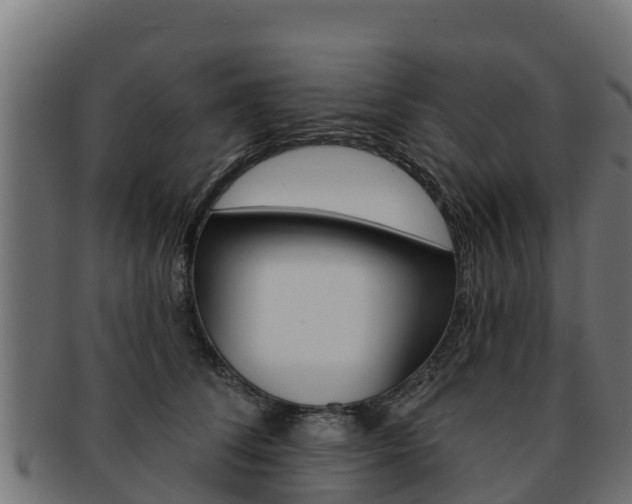 X0000092320708200709141050