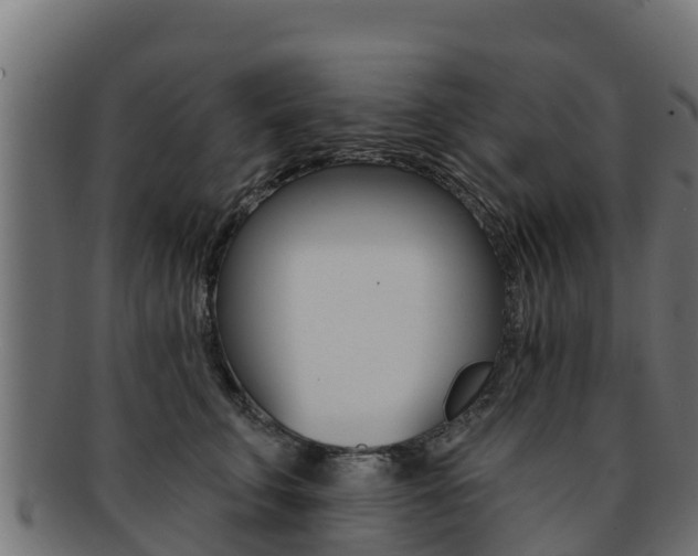 X0000092320711200709141050