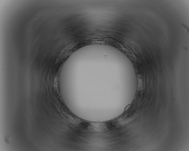 X0000092320713200709141050