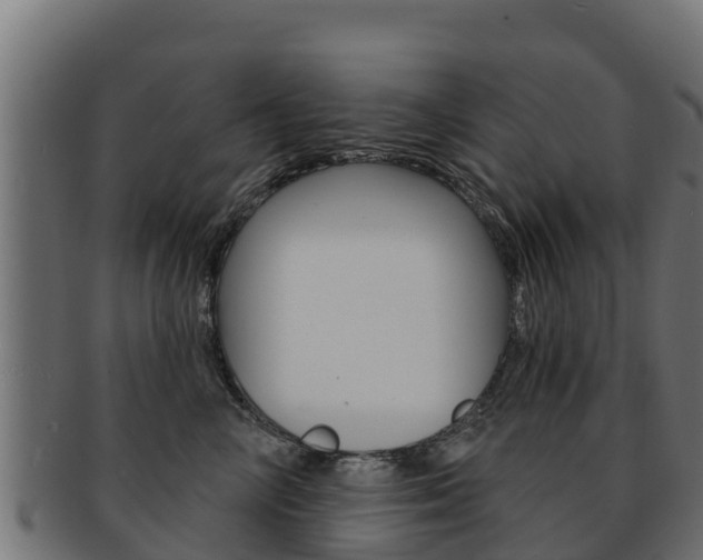 X0000092320714200709141050