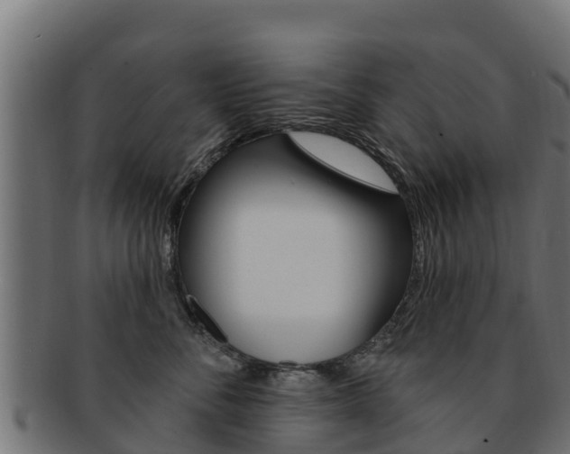 X0000092320716200709141050