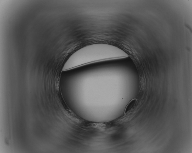 X0000092320719200709141050