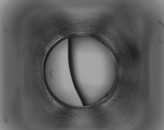 X0000092320721200709141050
