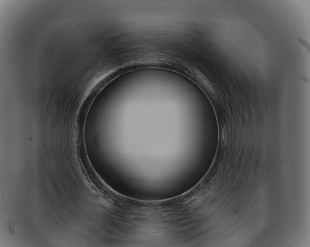 X0000092320724200709141050
