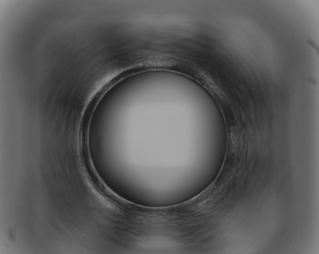 X0000092320726200709141050