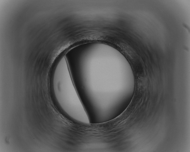 X0000092320727200709141050