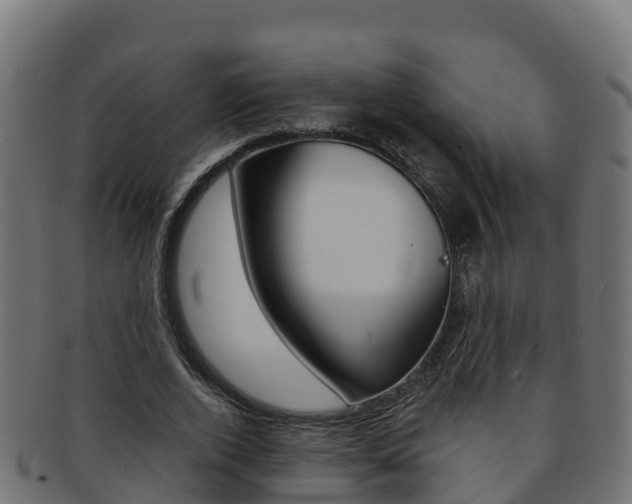 X0000092320728200709141050