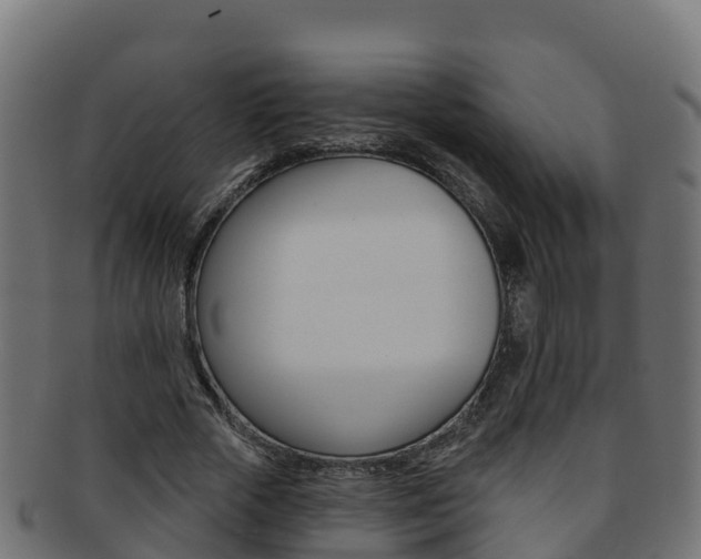 X0000092320729200709141050