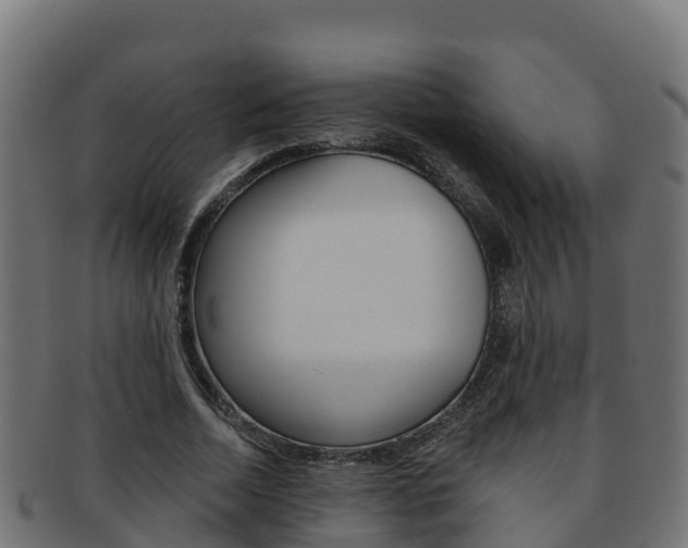 X0000092320730200709141050