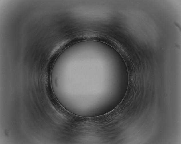X0000092320732200709141050