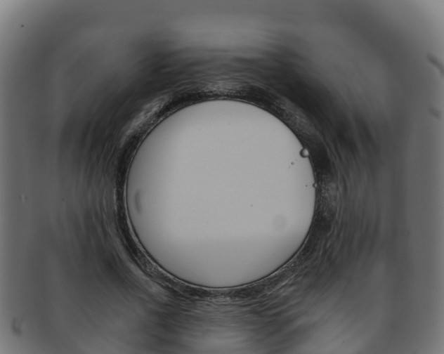 X0000092320734200709141050