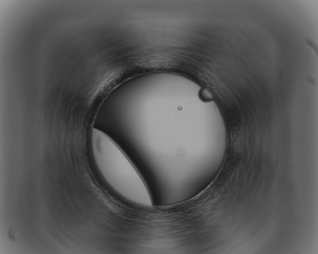 X0000092320735200709141050