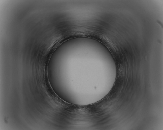 X0000092320739200709141050