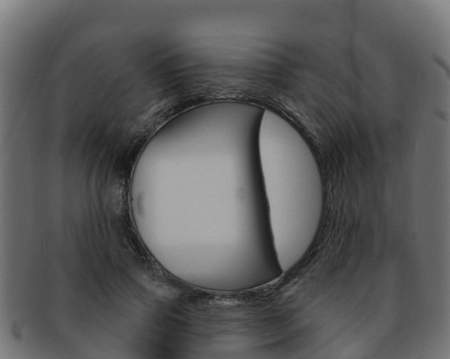 X0000092320741200709141050