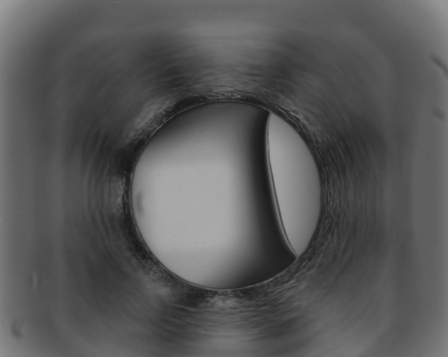 X0000092320742200709141050