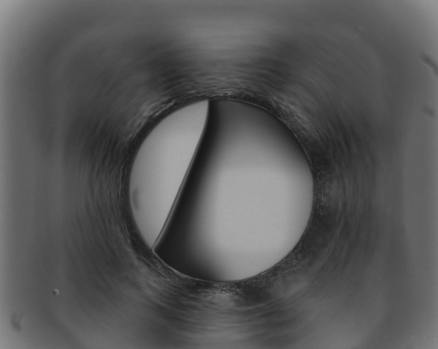 X0000092320743200709141050
