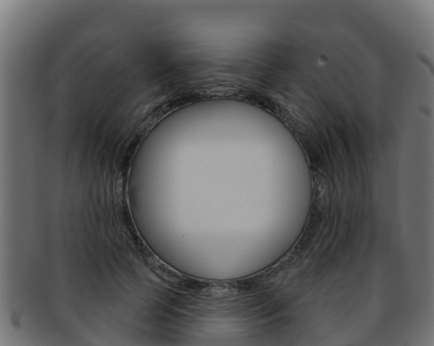 X0000092320745200709141050