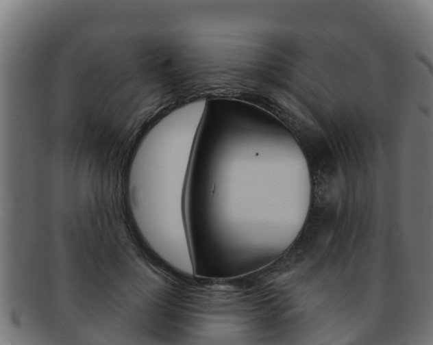 X0000092320748200709141050
