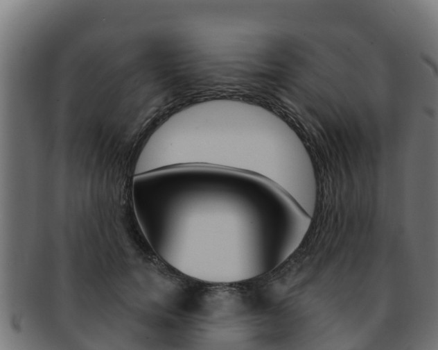 X0000092320750200709141050