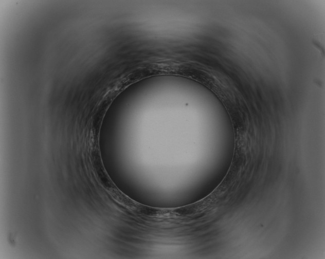 X0000092320752200709141050