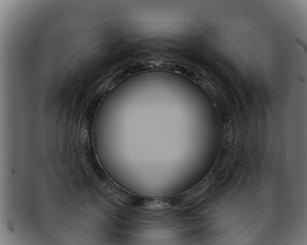 X0000092320754200709141050