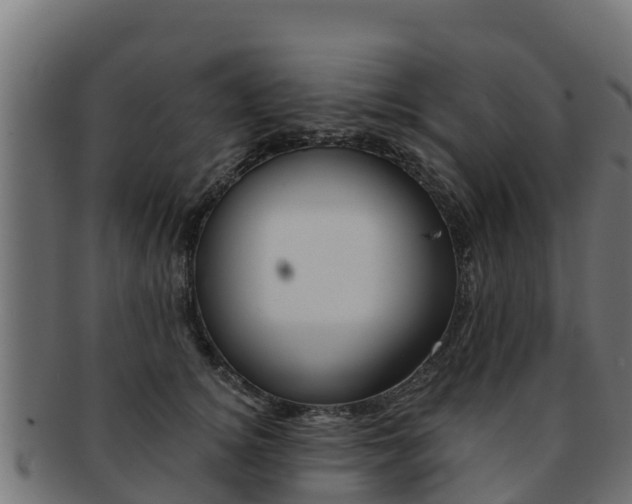 X0000092320756200709141050