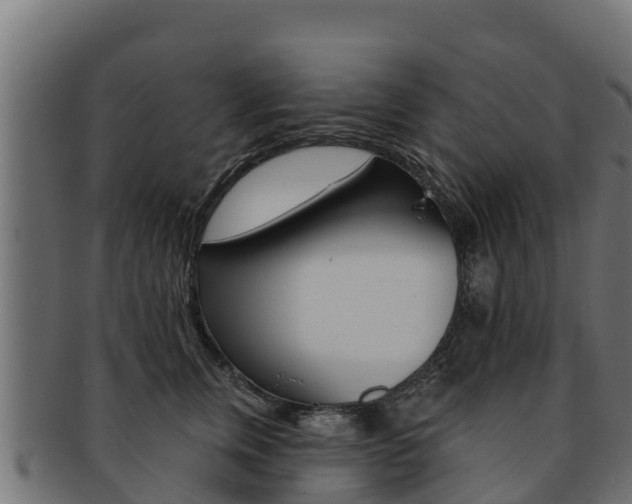 X0000092320759200709141050