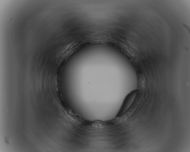 X0000092320764200709141050