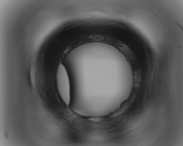 X0000092320765200709141050