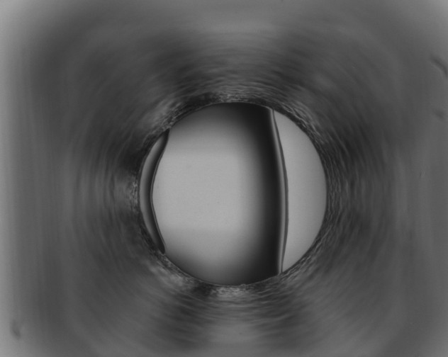 X0000092320766200709141050