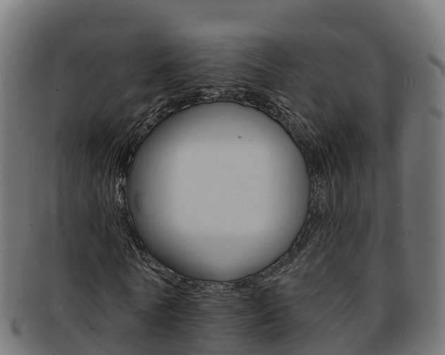 X0000092320770200709141050