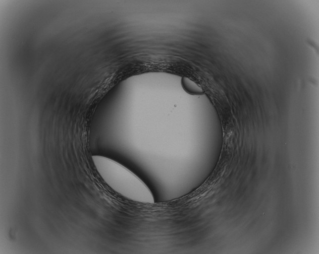 X0000092320772200709141050