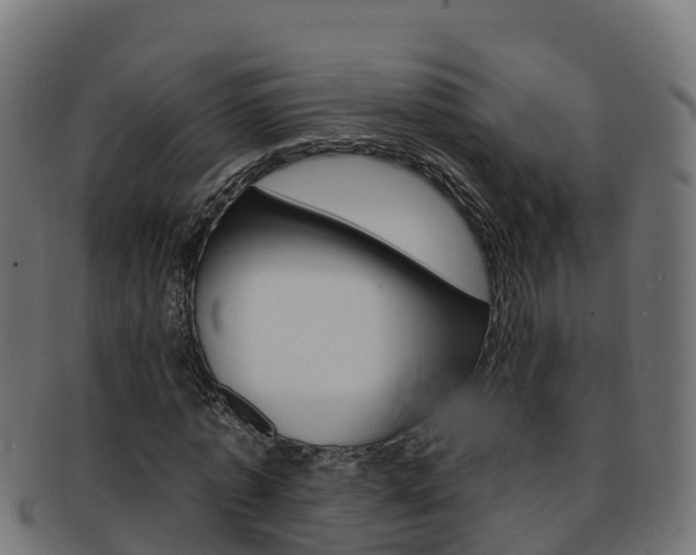 X0000092320773200709141050
