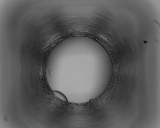 X0000092320774200709141050