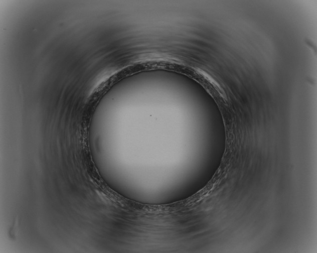 X0000092320775200709141050
