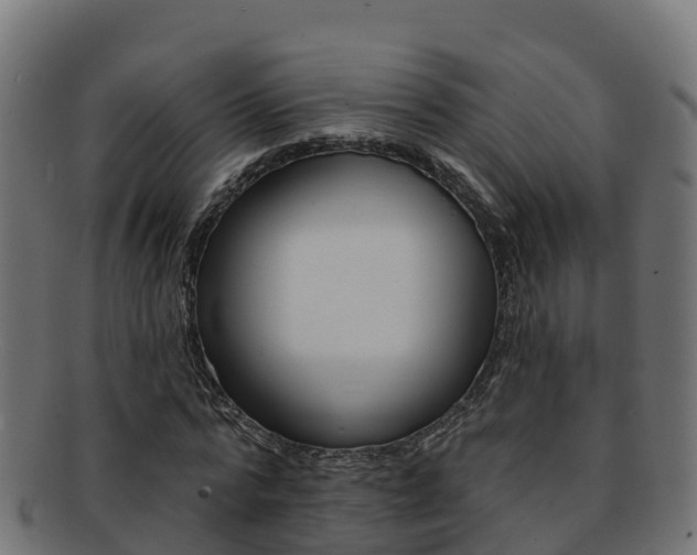 X0000092320776200709141050