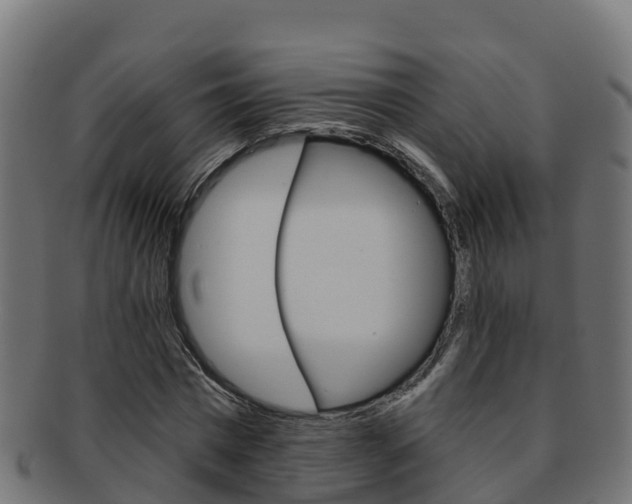 X0000092320777200709141050