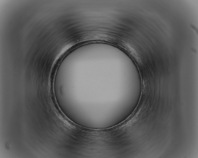 X0000092320780200709141050