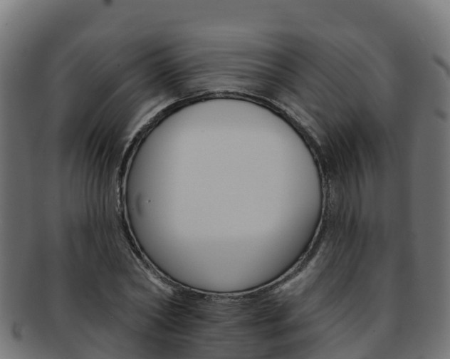 X0000092320782200709141050