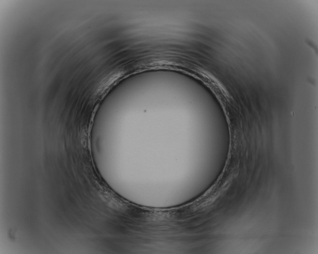 X0000092320785200709141049