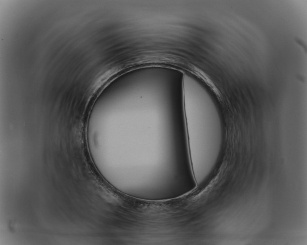 X0000092320786200709141049