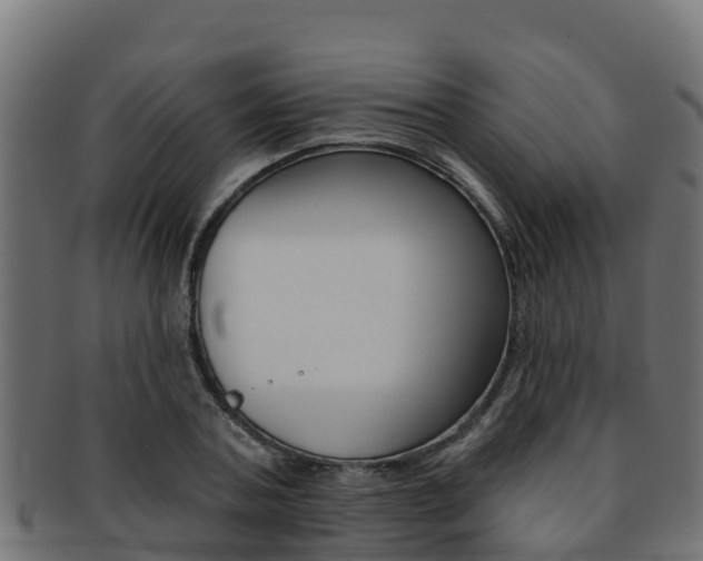 X0000092320787200709141049