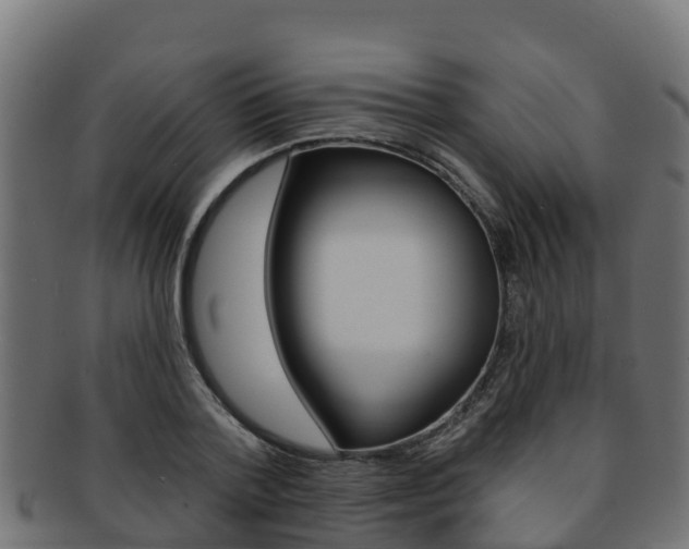 X0000092320788200709141049