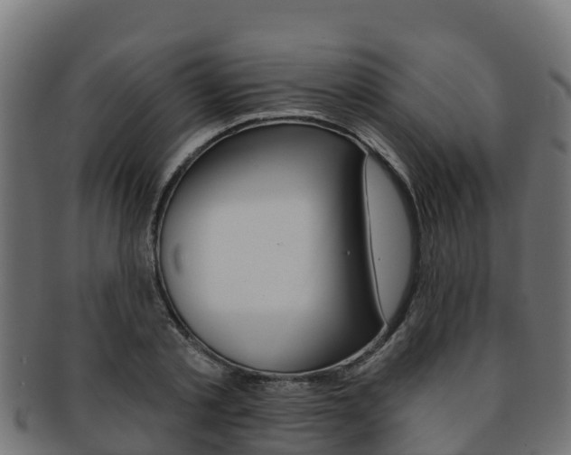 X0000092320789200709141049