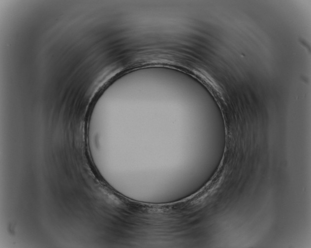 X0000092320790200709141049