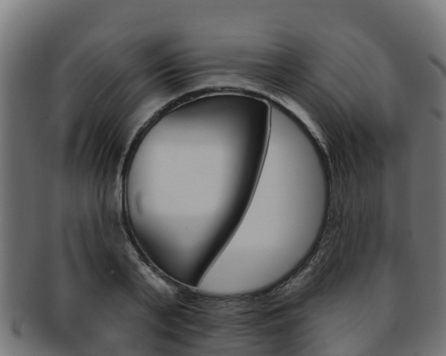X0000092320791200709141049