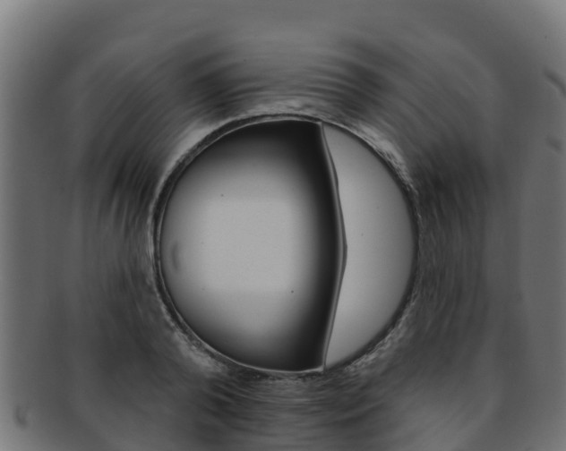 X0000092320792200709141049